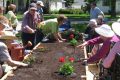 Wheelchair Accessible Planters
