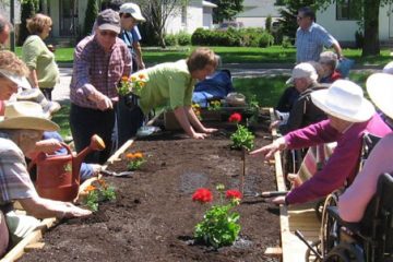 Wheelchair Accessible Planters