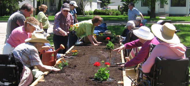 Wheelchair Accessible Planters